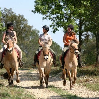 Concepteur développeur web orienté Tourisme 