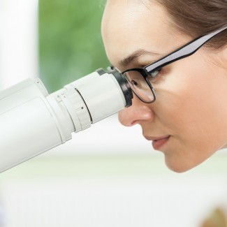 Master professionnel Chimie et biologie végétale