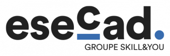Logo ESECAD - Ecole de commerce et web à distance