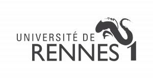 Logo Master Banque Finance - Finance d'entreprise Univ  Rennes 1